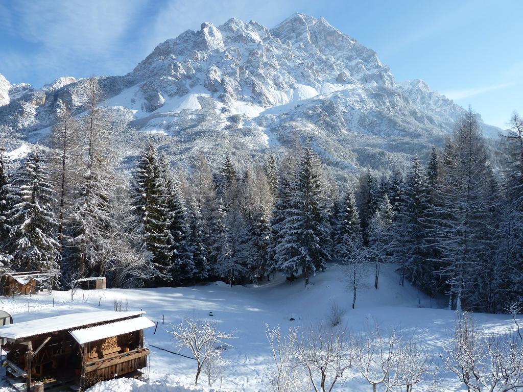 Appartamenti Da Nica E Diego Borca di Cadore Zimmer foto