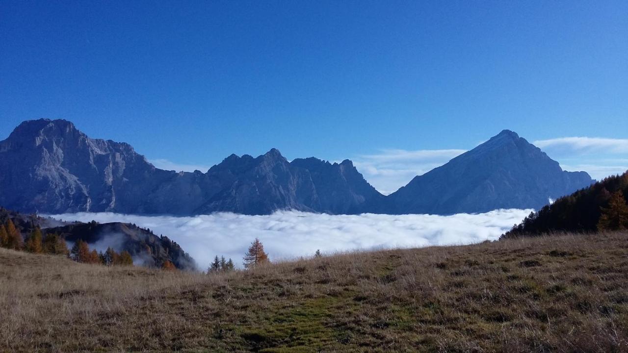 Appartamenti Da Nica E Diego Borca di Cadore Exterior foto