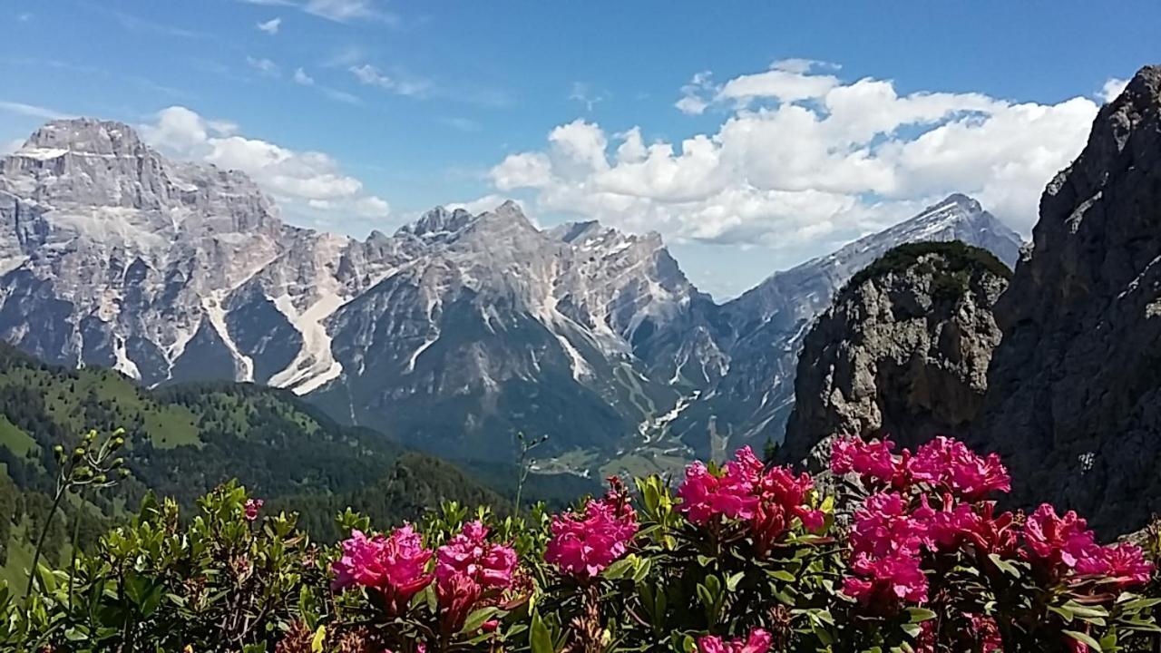 Appartamenti Da Nica E Diego Borca di Cadore Exterior foto